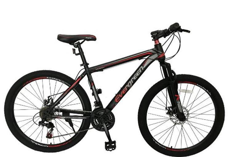 mtb ranger 29