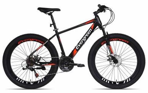 Evergreen mtb discount