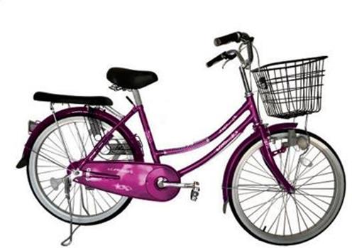 Мини 24. Велосипед Lady Bird. BSA Bluebird Bicycle. Pink e Bike. Велосипед Bird smile Activ girl.